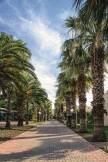 VON RESORT GOLDEN BEACH General Images